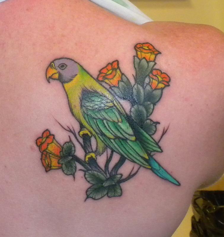 Female Plumhead Parakeet - Bird Tattoos - Last Sparrow Tattoo