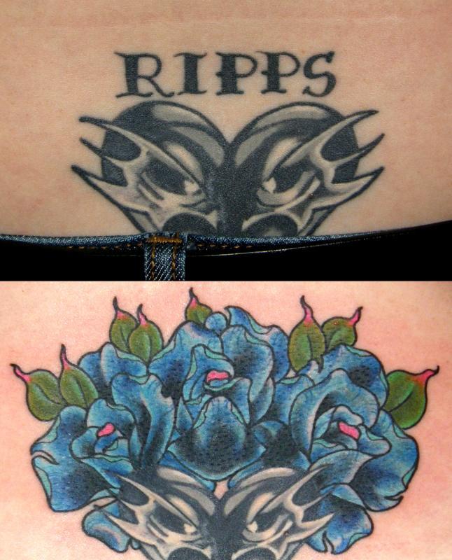 blue roses cover up