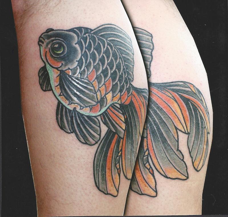 Japanese Goldfish
