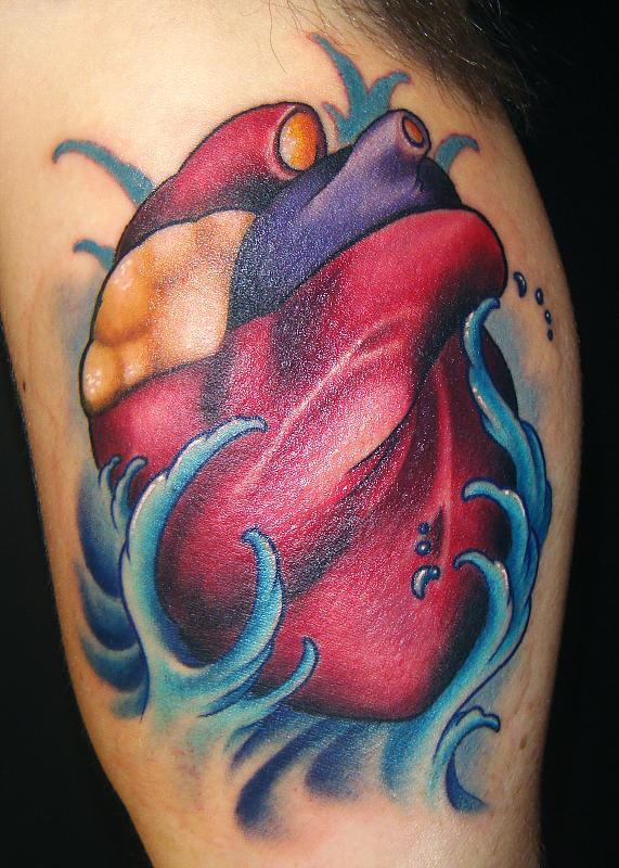 Anatomical Heart and Waves