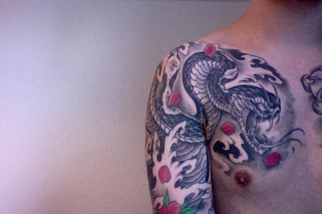 Left chest and arm