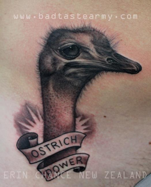 Ostrich power