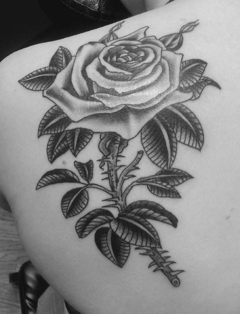 rose tatoo