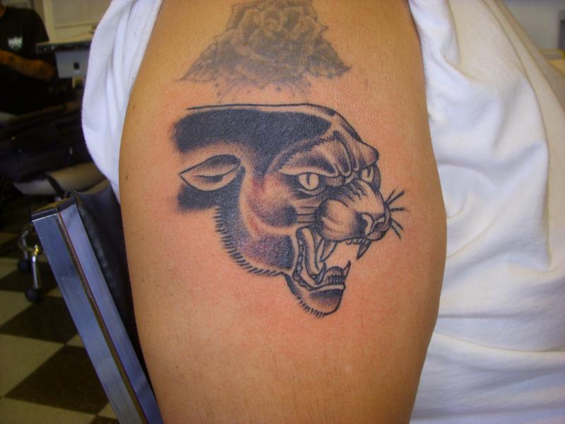 panther cover up