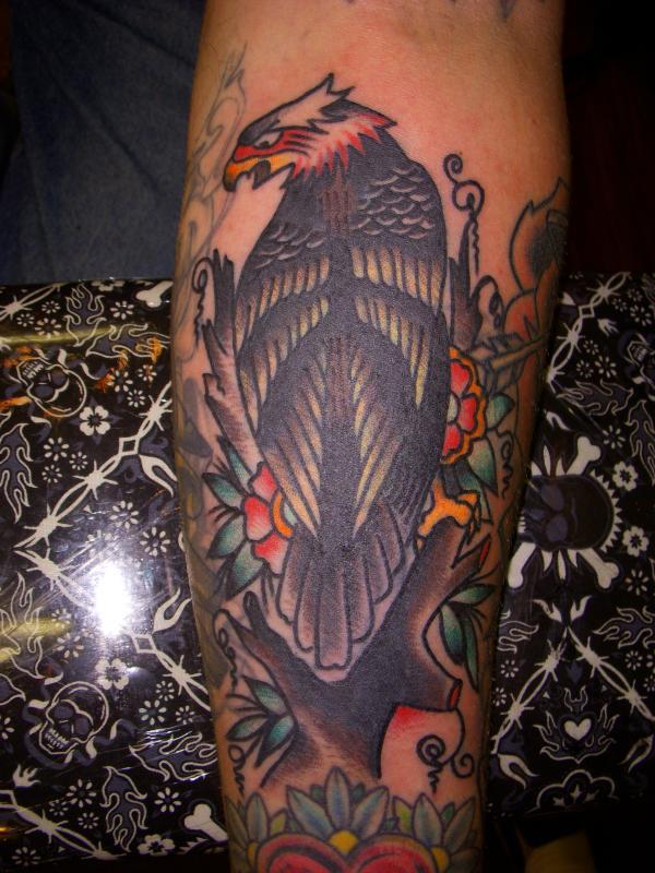 eagle cover up