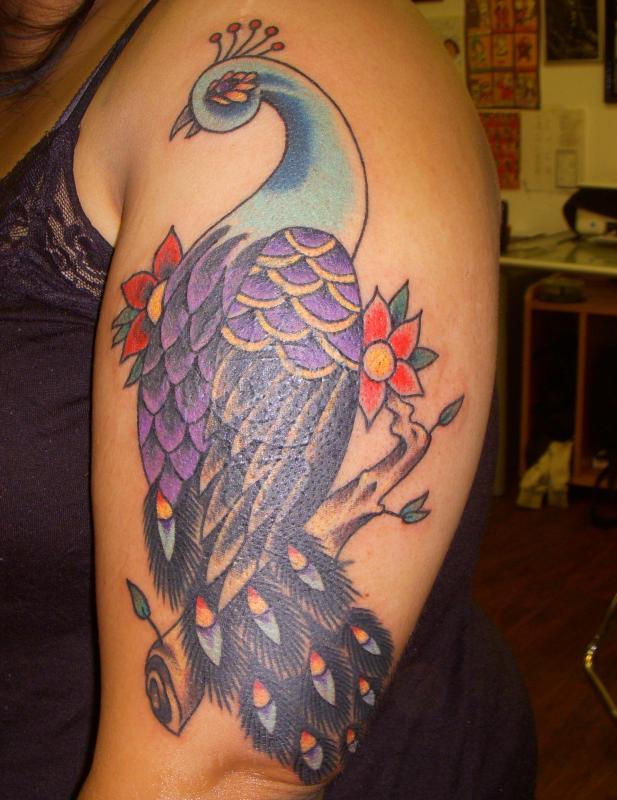 peacock cover up
