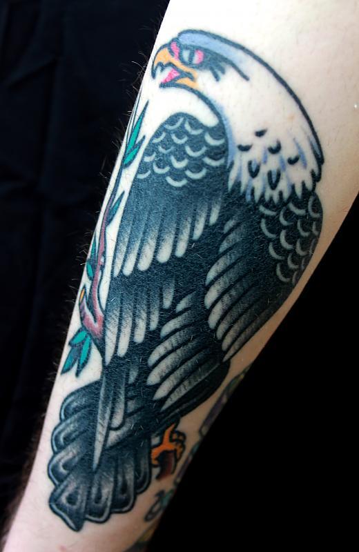 Eagle by Dan Santoro
