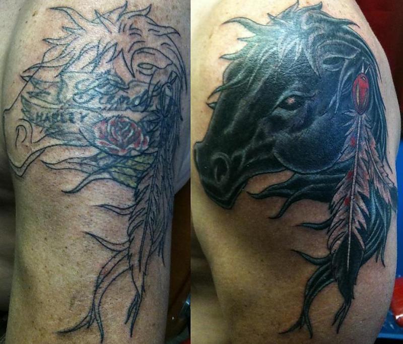 horse cover up