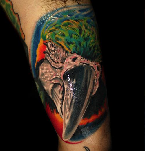 macaw tattoo