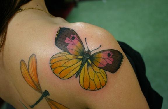 butterfly shoulder