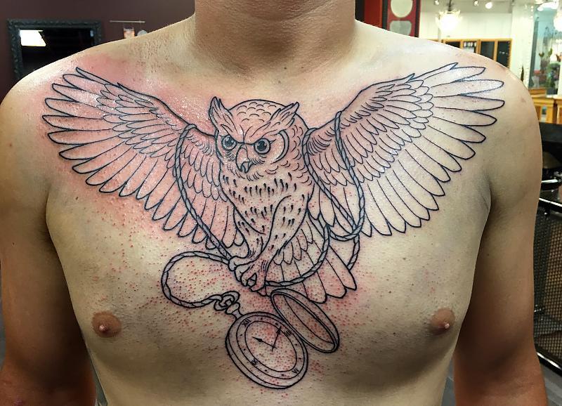 owl in progress