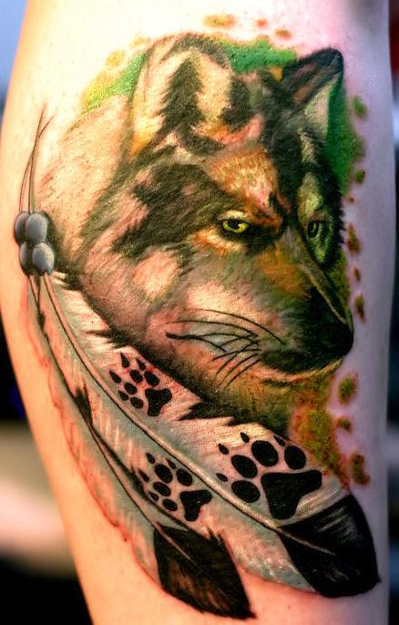 Wolf and Feathers