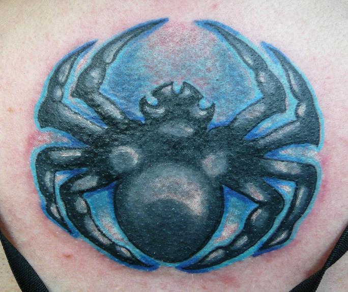 spider cover up