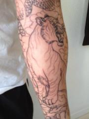 More information about "Sleeve outline by Scott Sylvia"