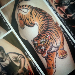 Tiger by Stewart Robson
