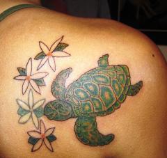 Turtle and Jasmine Flowers