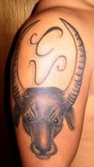 Carabao and Philippine Script