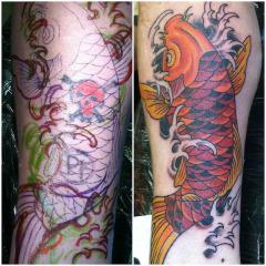 Cover-up Koi