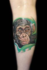 Chimpanzee tattoo