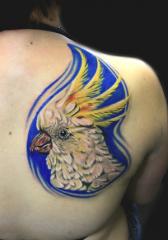 cockatoo tattoo