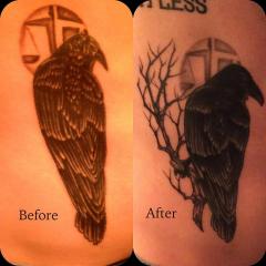 Raven before after