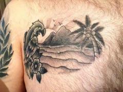 healed parrot