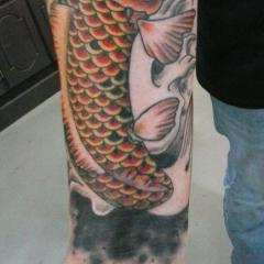 Completed Coverup Koi