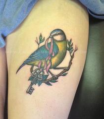 Blue Tit with key on thigh