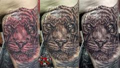 tiger edit fresh in progress robert tattoo art