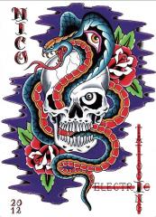 skull and snake banner
