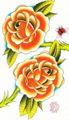 Orange Roses and lady bug