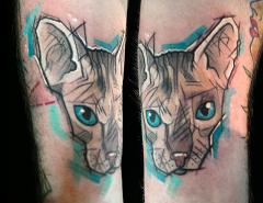 Cat done at the Transilvanian Tattoo Expo 2014