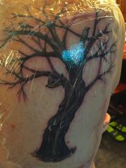 New Tattoo, Tree and Birds, Initials