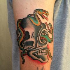 snake and skull