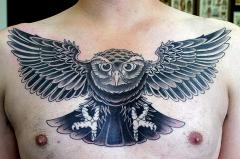 chest owl forum