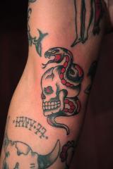 skull snake