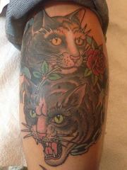 Cats by Grez