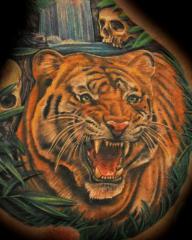 nate beavers color tiger portrait