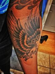 Eagle by Scott Sylvia