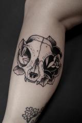 Cat Skull with Rose