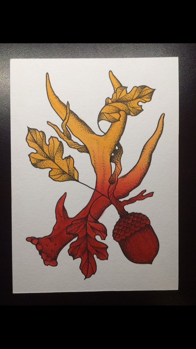 Antler and Acorn