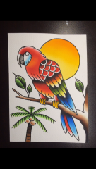 Traditional Parrot