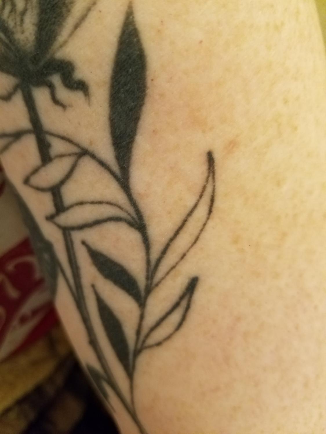 First and new tattoo with lost ink and uneven Is it fixable   Initiation  Last Sparrow Tattoo