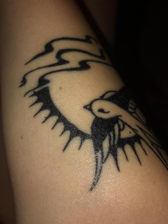 Tattoo Blowout General Tattoo Discussion Last Sparrow Tattoo