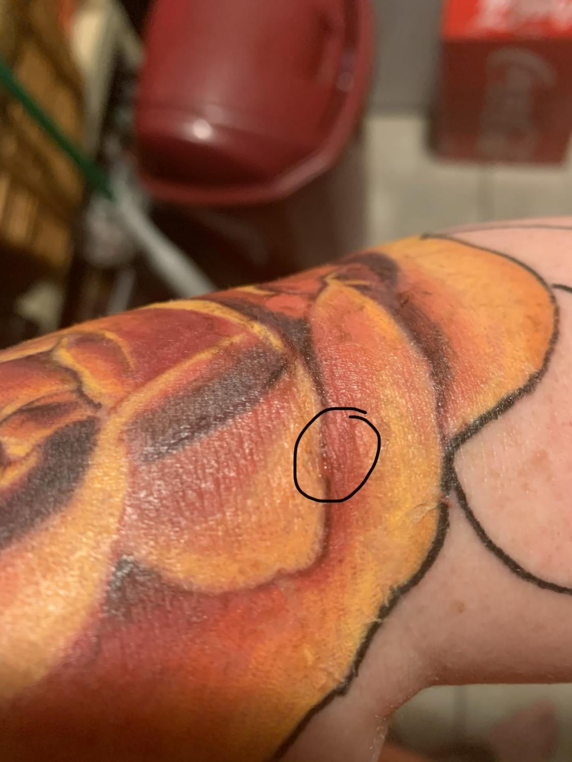 Mandala tattoo on the inner elbow  Tattoogridnet