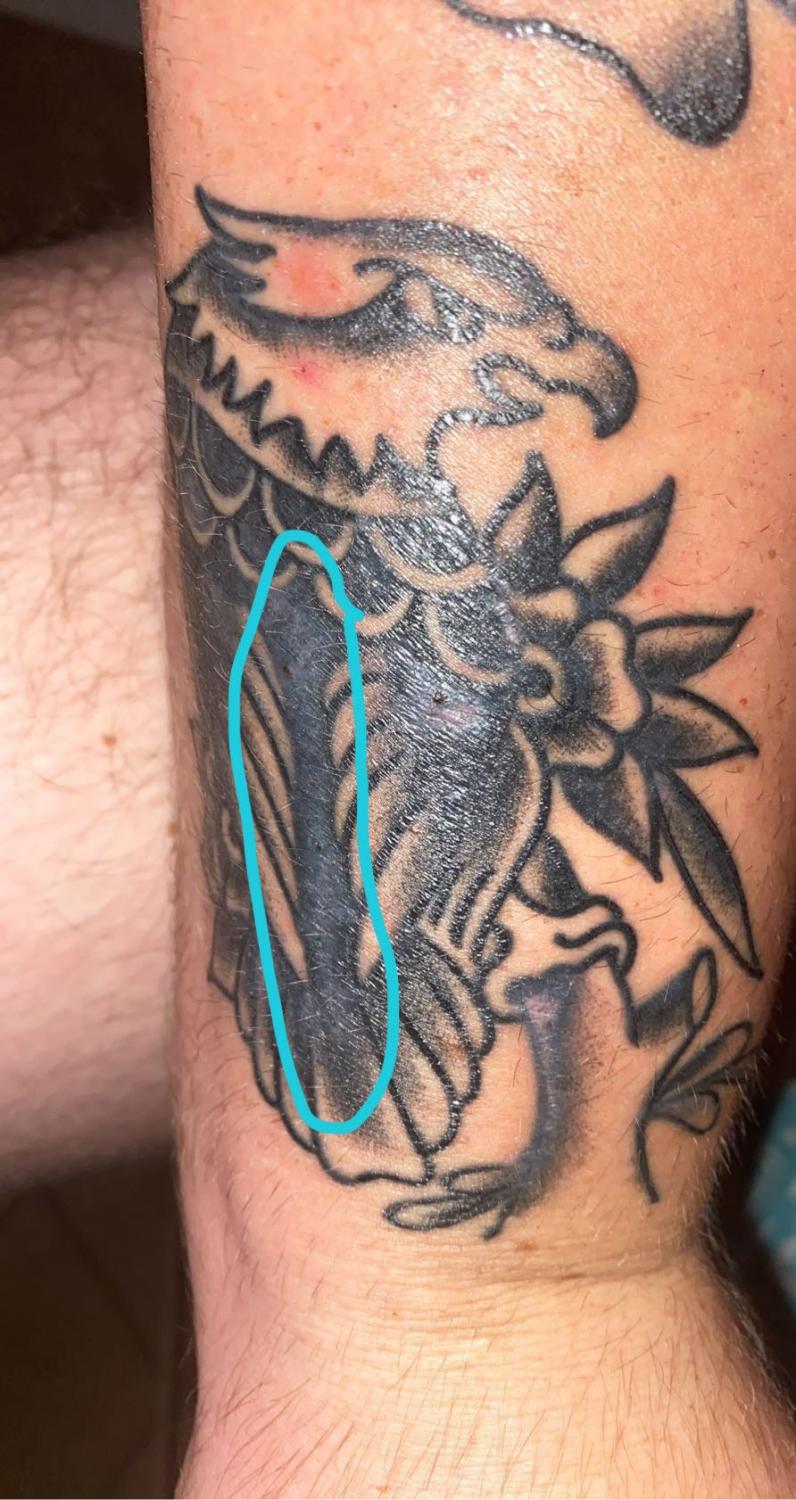 Is this the “ milky” stage of my tattoo? - Initiation - Last Sparrow Tattoo