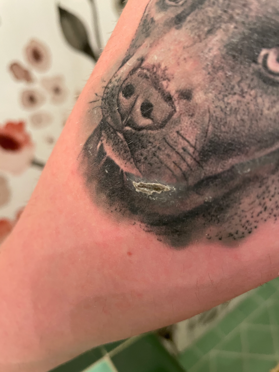 Ink and infection 10 percent have skin problems after getting tattoos   The Washington Post